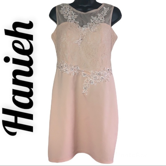 Hanieh Light Pink Evening Lace And Embroidered Midi Dress Size 3 - Picture 1 of 12